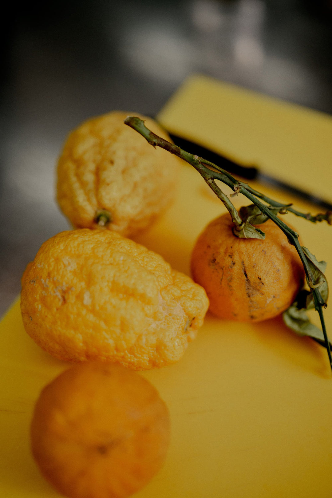 ODE Alle Produkte ODE / The Natural Aperitif